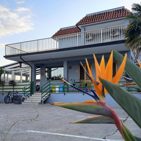 Affittacamere Il Tulipano Beach Formia Eksteriør billede